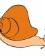 Gliemezis1